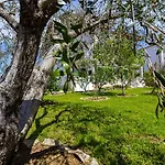 Mate * Τρογκίρ